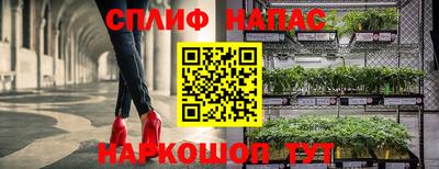 прущие грибы Рязань