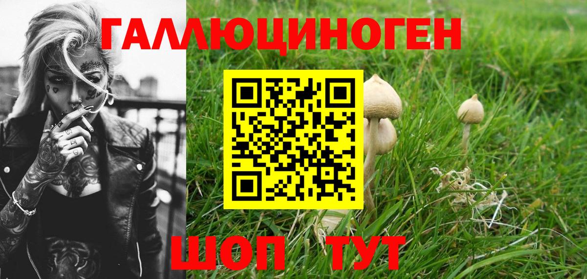 хочу наркоту  Псилоцибиновые грибы Cubensis  Псилоцибиновые грибы ЛСД  Вход с VPN  Ростов Великий 